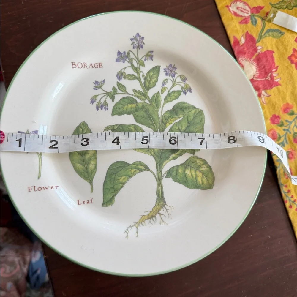Williams Sonoma Botanical Herb salad Plates Set 6